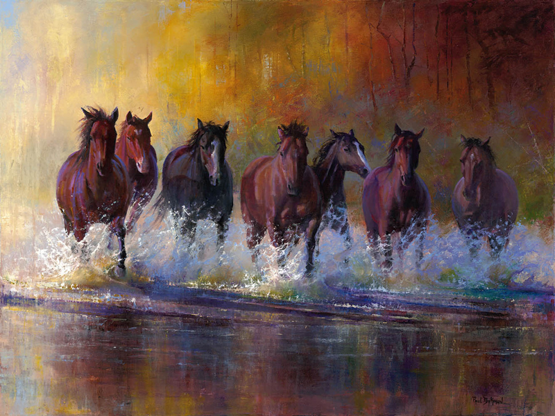 Splashing the Shallows