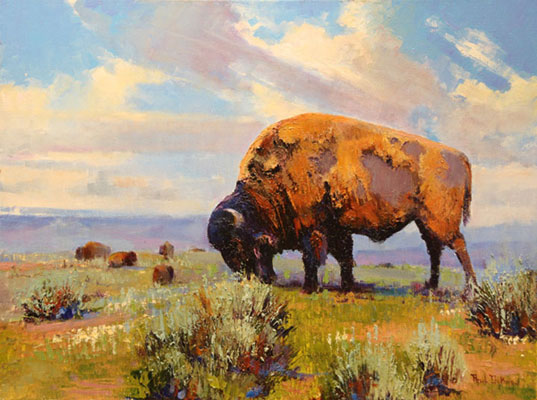 Spring on the Plains